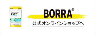 BORRA公式オンラインショップへ